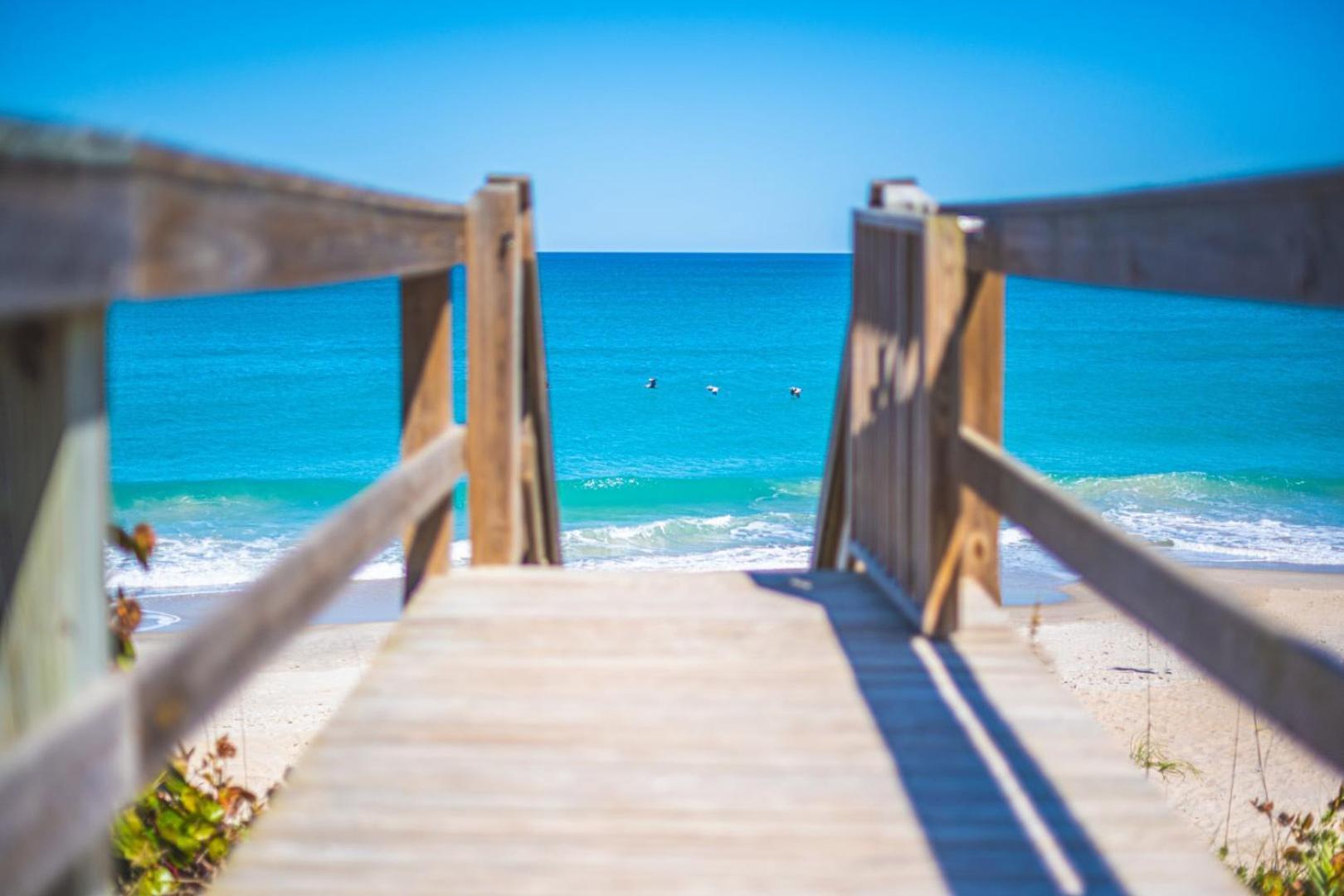 Tranquility Seahorse Suite - Oceanfront Paradise! Melbourne Beach Exterior photo