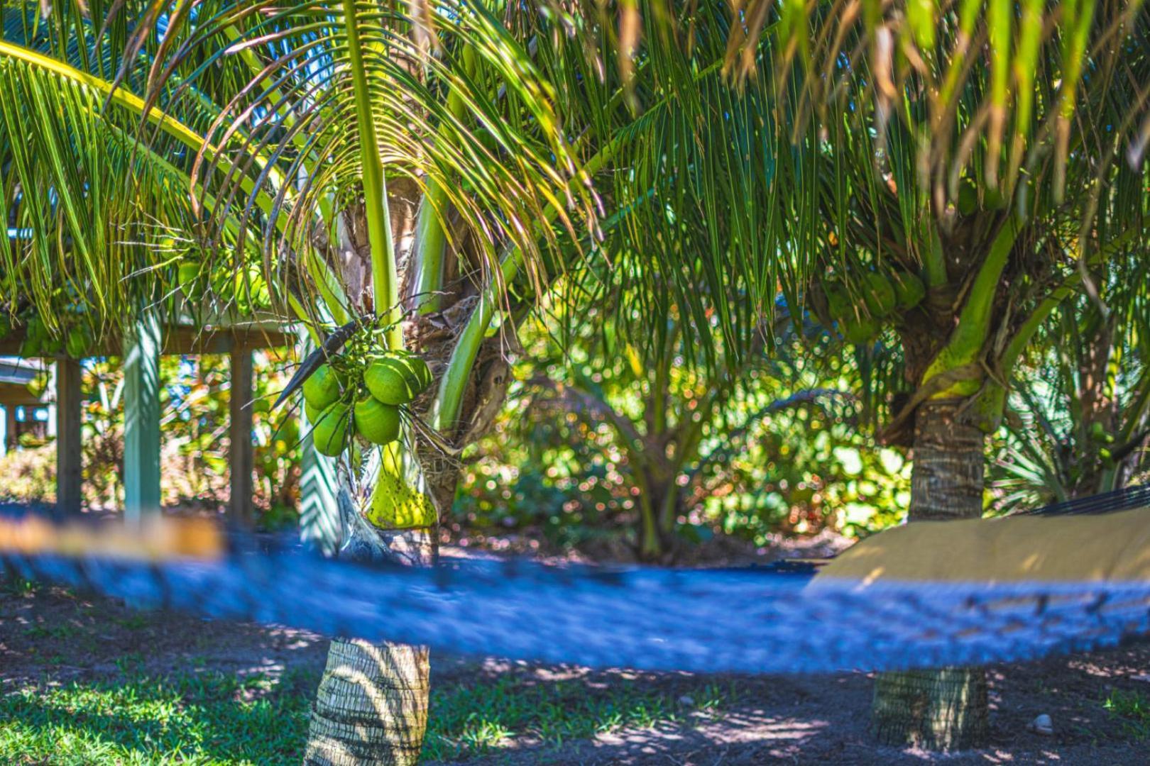 Tranquility Seahorse Suite - Oceanfront Paradise! Melbourne Beach Exterior photo